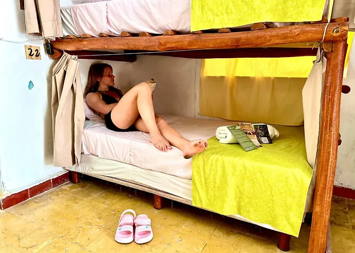 Guacamayas Hostel&Social Laundry Valladolid 